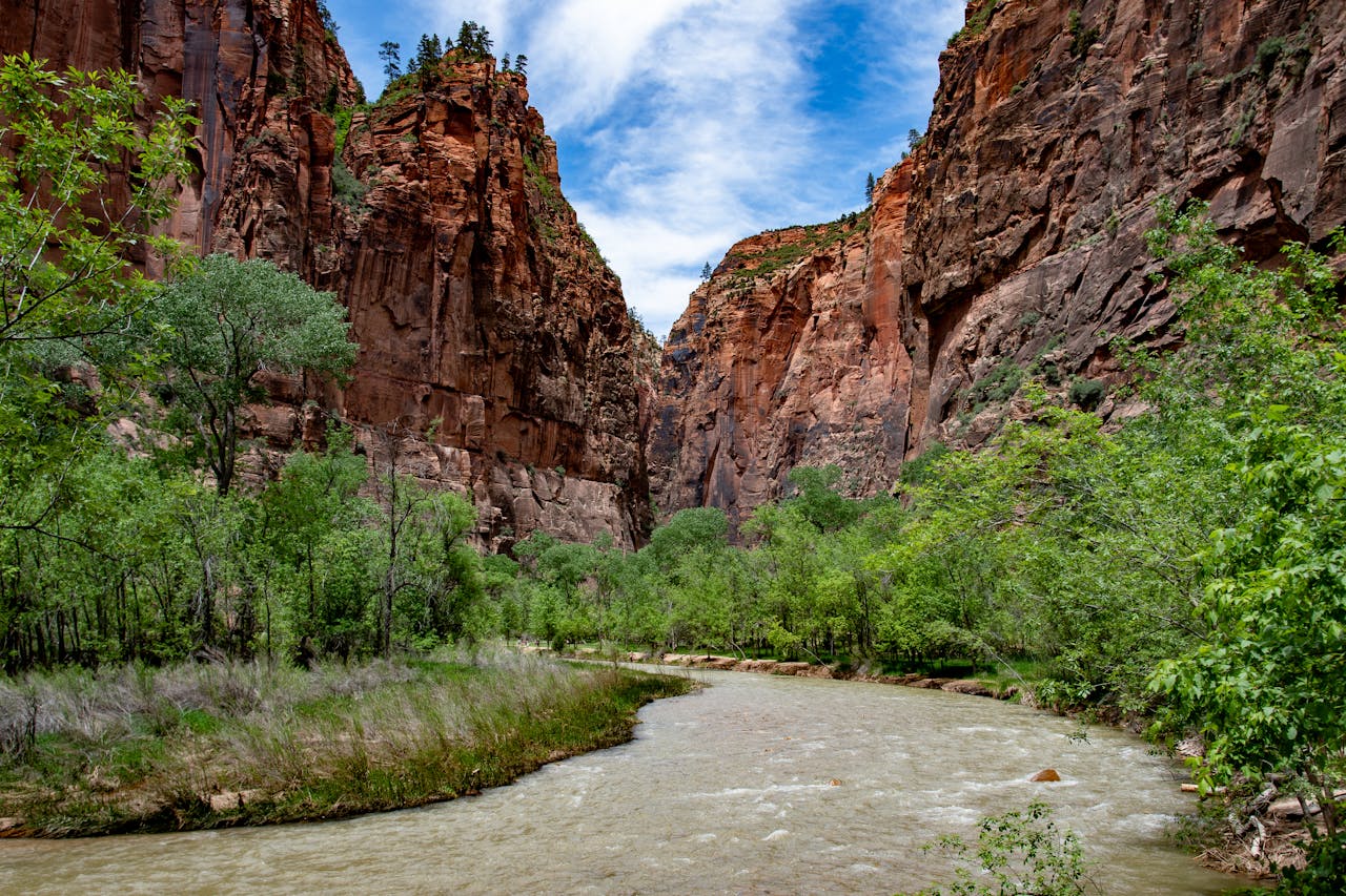 The Art of Drawing Readers In: Your attractive post title goes here Scenic view of Zion National Park's majestic canyon with flowing river and lush greenery.