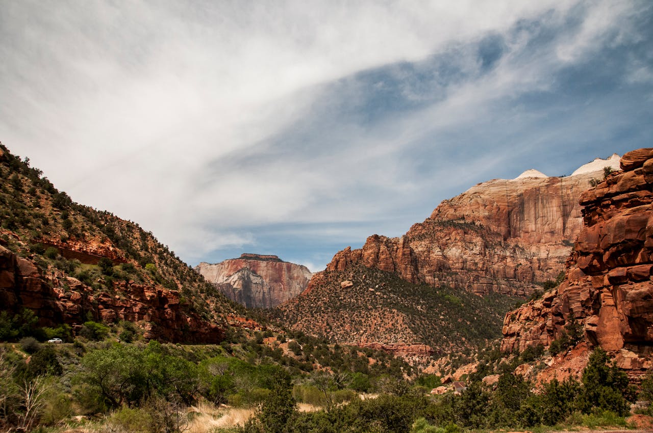 Scenic landscape of Zion National Park's towering red and brown cliffs under a bright sky.