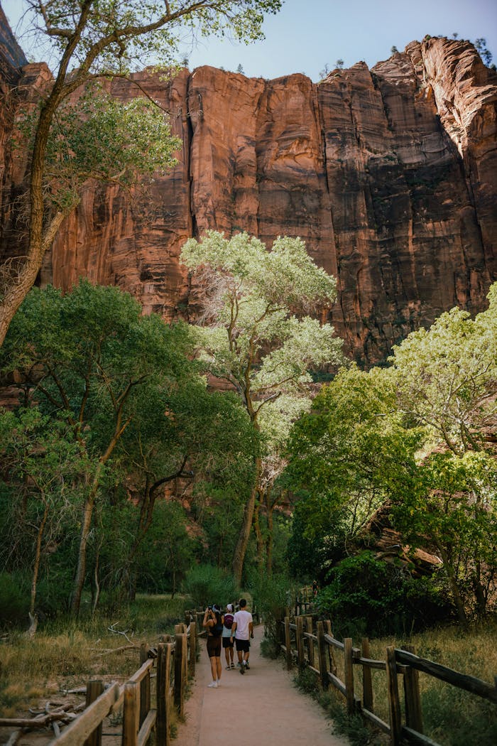 Mastering the First Impression: Your intriguing post title goes here Explore the stunning landscapes of Zion National Park, Utah with hikers venturing through scenic canyon trails.