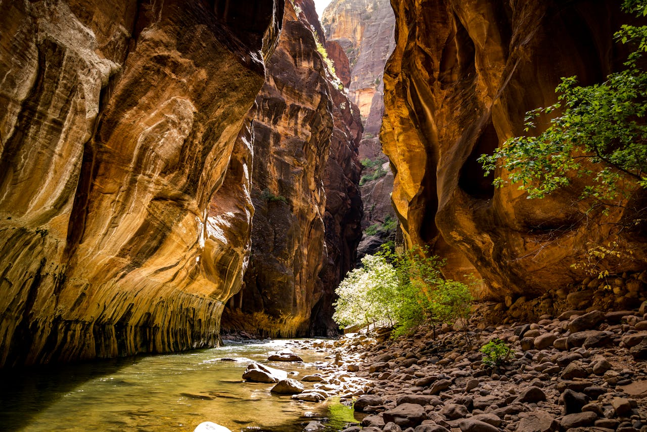 Beautiful canyon view with flowing river in Zion National Park, Springdale, UT.